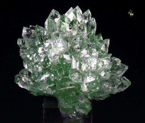bijoux-et-mineraux: Fluorapophyllite-(K) - Ahmadnagar District (Ahmednagar District; Ahmed Nagar Dis