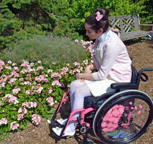 65pinkroses - Amazing spoke guard art for my wheelchair done by...