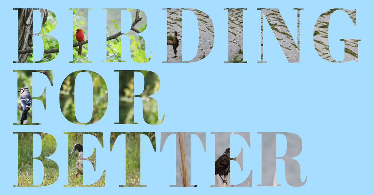 Birding For Better