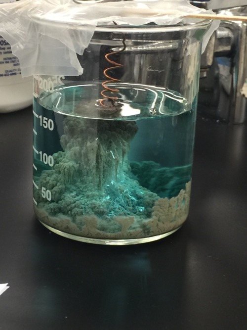 dannysexbomb:Copper wire set overnight in a silver-nitrate solution produces a crystallized explosio