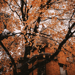 Red Autumn by cut3lcn on DeviantArt
