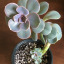 everybodyplantnow