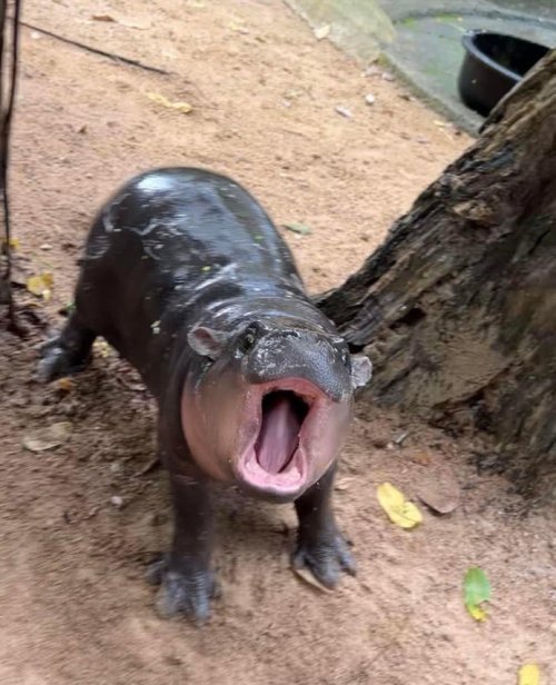 Its Th