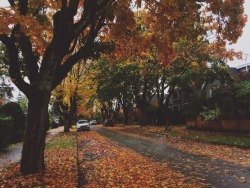 Coffee on a Fall Day