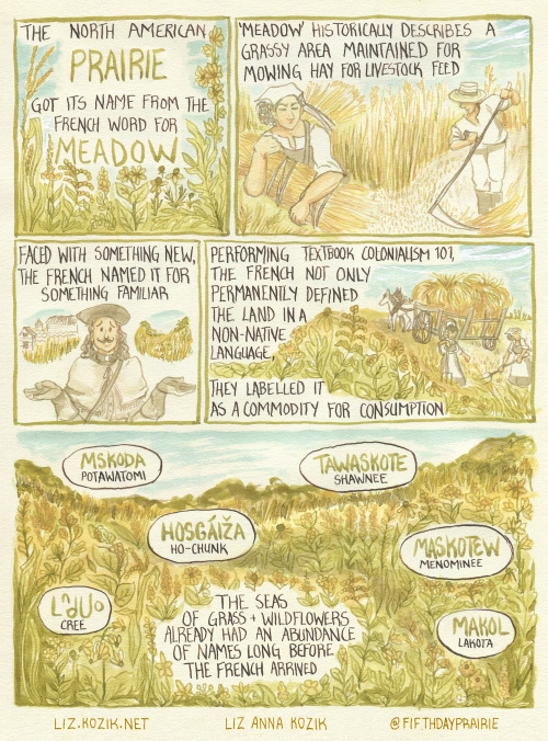 fifthdayprairie: Let’s talk about prairie, history, and language. For communities so focused o