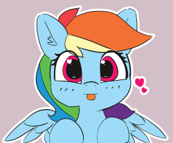 pabbley: Apparently it’s Rainbow Dash Day! 