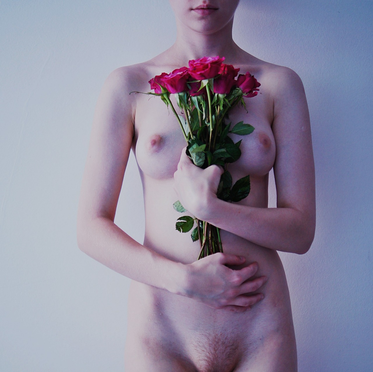 atawdrydoll-deactivated20150116:  sanctuary (x) 