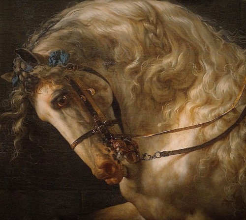 Jacques-Louis David - Equestrian portrait of Stanisław Kostka Potocki  (1781, detail)