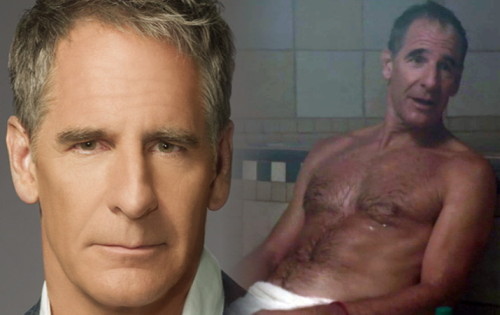 themoinmontrose:  actor scott bakula @ScottBakula