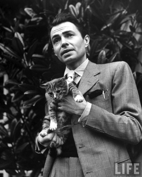 putthison:  Famous style icons and their cats. Via Voxsartoria