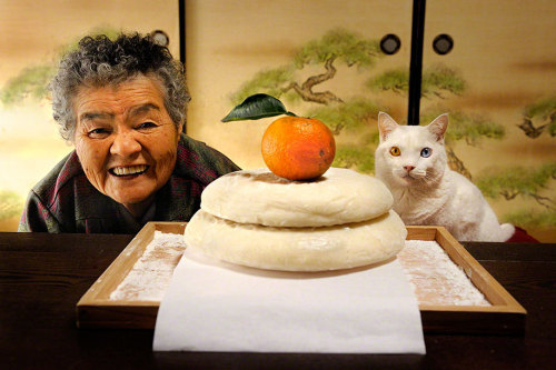 itsmicolmota:heartwarming:&ldquo;For the last 13 years Japanese photographer Miyoko Ihara has been t