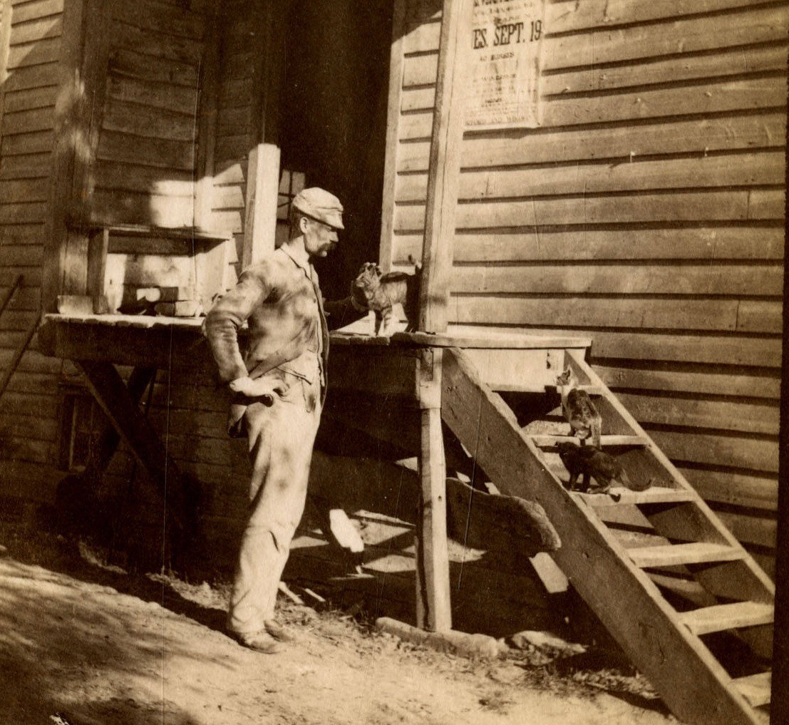 librarycompany: Happy #Caturday! Marriott C. Morris captured this adorable image
