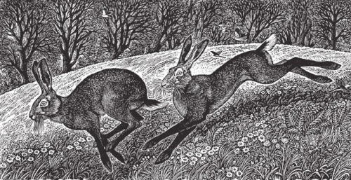 artamanen:Running Hares Sue Scullard