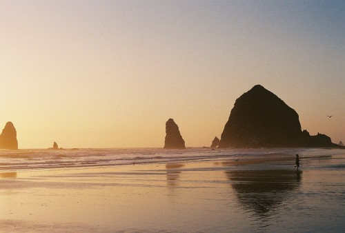 cannon beach