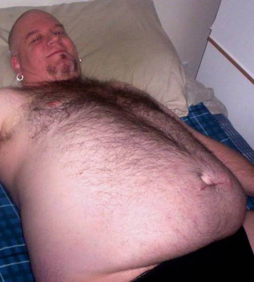 Hollandbear