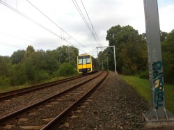 Playing hide and seek with train guards