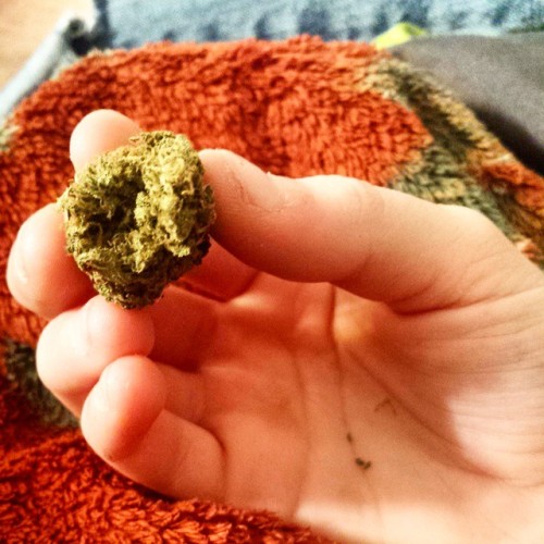 Ugly nails but a dank ass nug #reefer #maryjane #girlswhosmoke #lover #bae