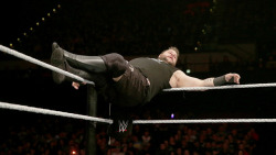 fishbulbsuplex:  Kevin Owens