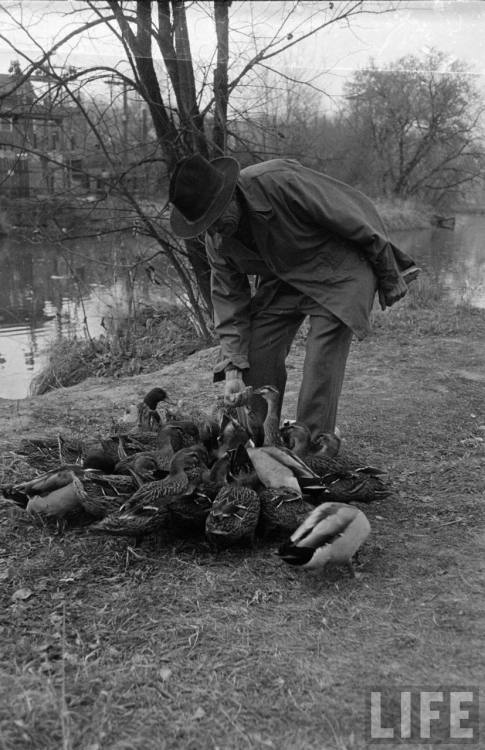 Feeding the ducks(Wallace Kirkland. n.d.)