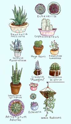 danceingoldenflowers:  Plants! 