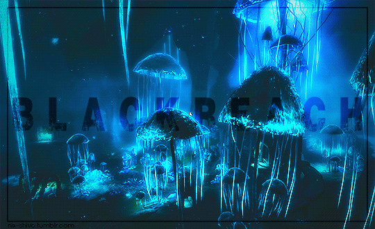 nix-shiva: B L A C K R E A C H - also known as Fal Zhardum Din in Dwemeris, is a large city in a mas