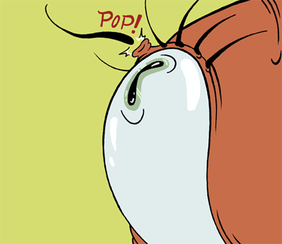 kmorrisoncartoons:Don’t worry, Biscotti - we’ve all been there.  ACK!