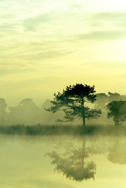 jamas-rendirse: Strabrechtse heide 82, By Mr Deschamer.