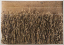 thunderstruck9:Mario Ceroli (Italian, b. 1938), Campo di grano [Wheat Field], 1979. Wood sculpture and ears of wheat, 109 x 155 x 14 cm.