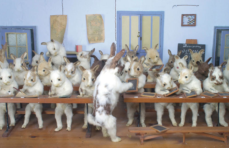 Walter Potter (2 July 1835 – 21 May 1918) was an English taxidermist noted for