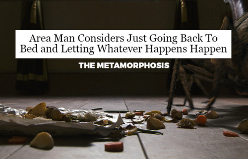 Classic lit + Onion-style headlines = the mashup you never knew you always wanted. Click here to see