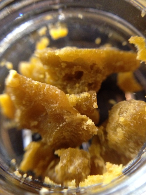 andrewallenmoore:  harborside solventless wax #HBC ghost train (ghostOG x trainwreck)