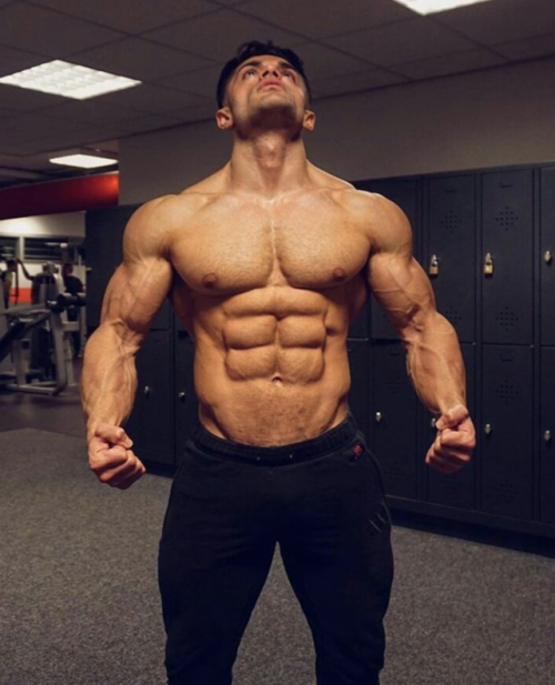 Adonis Files