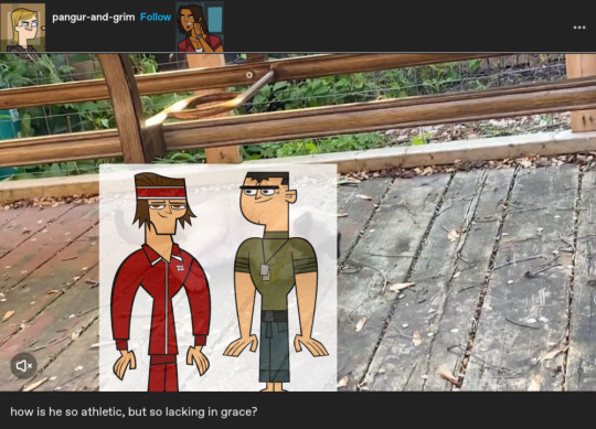 Tumblr media
