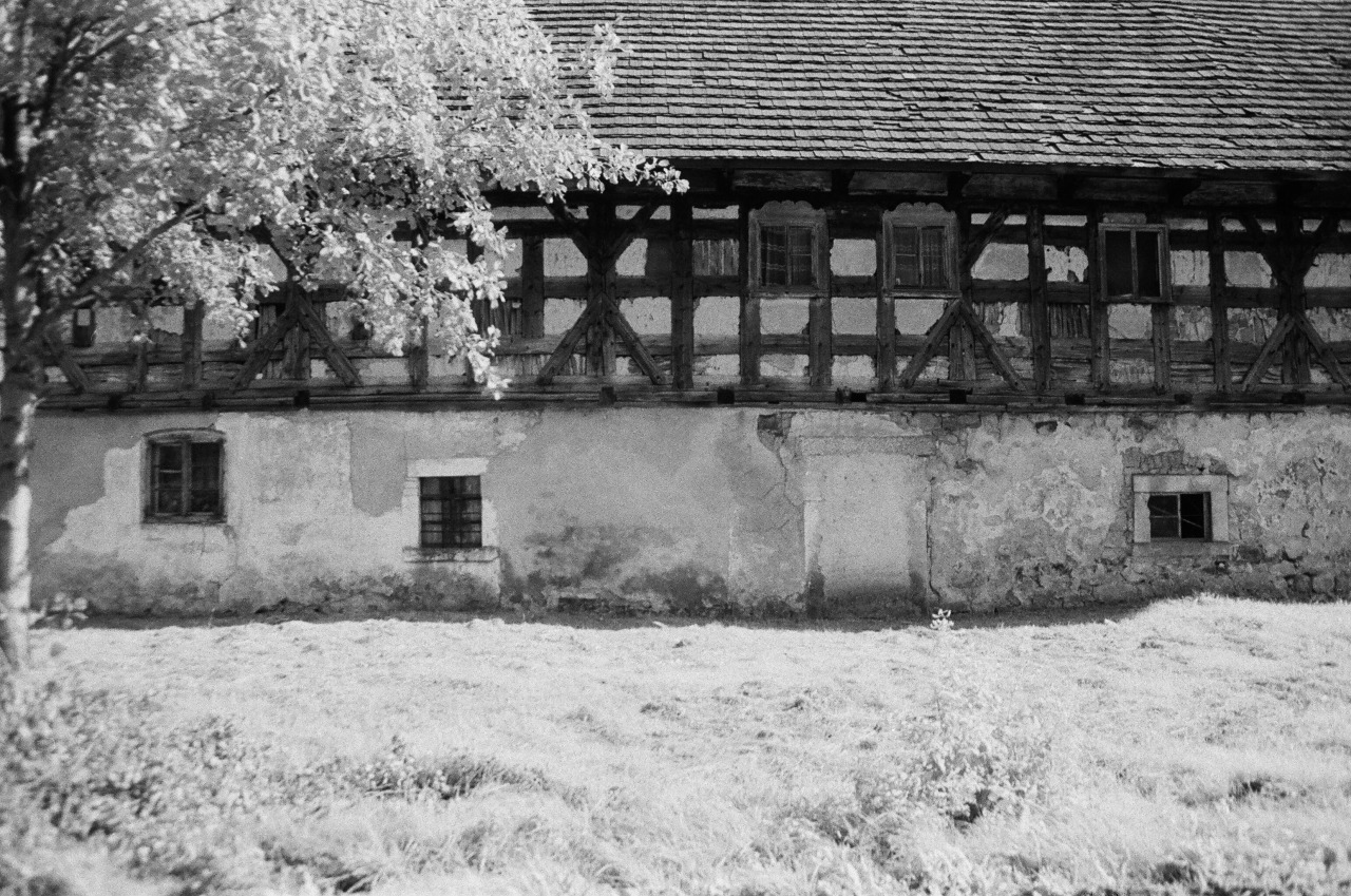 ONLYanalogphoto