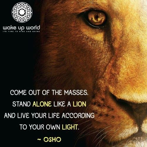 soulmates-twinflames:  Come out of the masses. Stand alone like a lion and live your life according to your own light. ~Oshowww.twinflames-soulmates.com