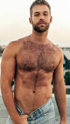 Hairy Hunky Men