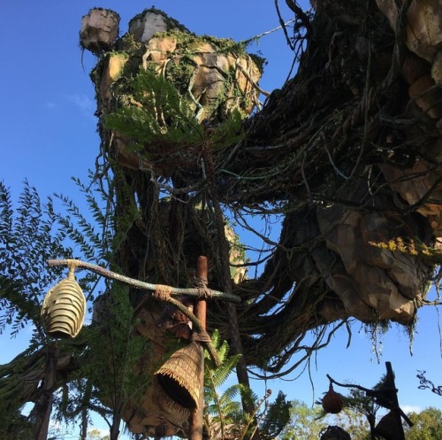 For a movie no one cares about, this ride sure does have a 4 hour line everyday. (at Pandora - The W