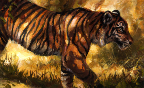 wildlife painting