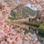 heavenly-garden