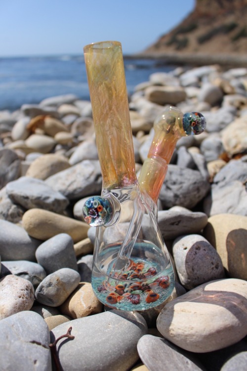 veraisastoner:  that is gorgeous