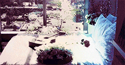 greeneggsand-ham:  amberdeans: "What I am trying to say is: that love is ours