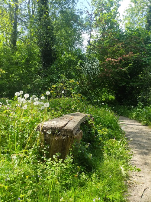 Porn dreaming-of-texel:    Gardens of Loenersloot photos