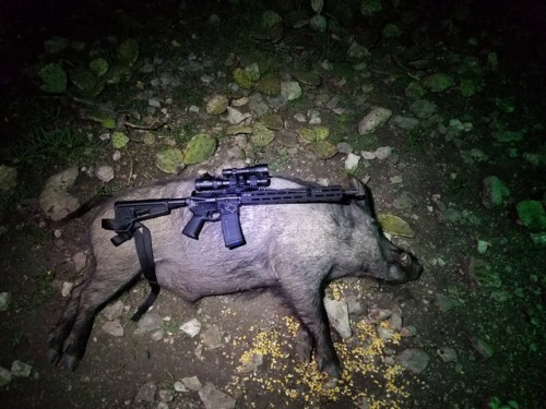 southernsideofme:  Texas Hog Hunt