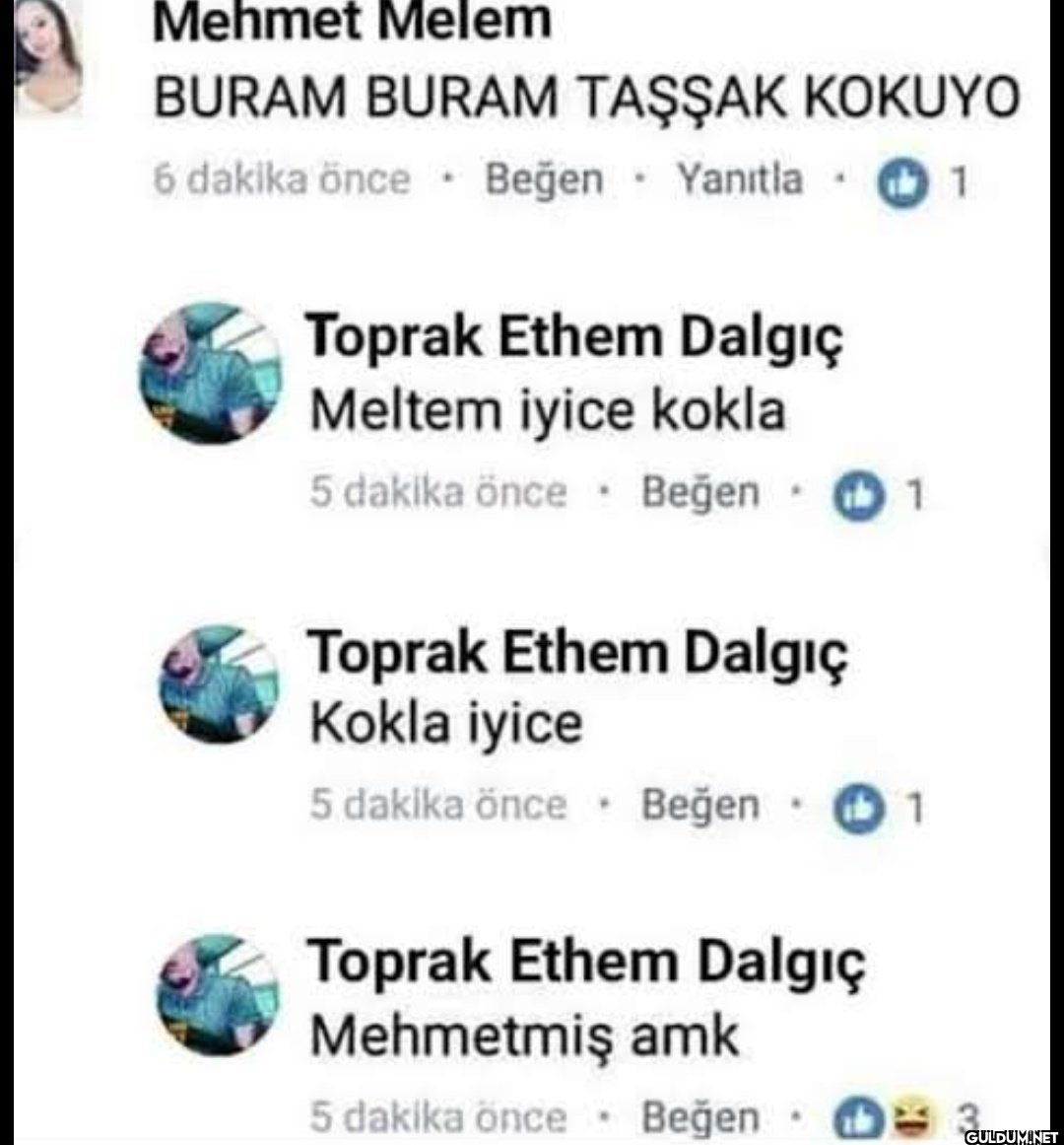 günaydın  Mehmet Melem...