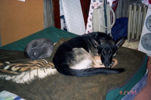 1995-1998