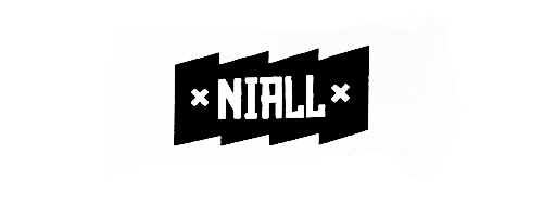 leims:  One direction typography in ‘midnight memories’. 