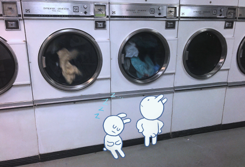 slugspoon:laundry day once more