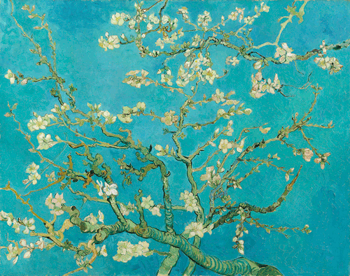 lonequixote:Branches with Almond Blossom by Vincent van Gogh(via @lonequixote)