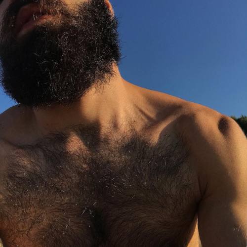 Beardburnme