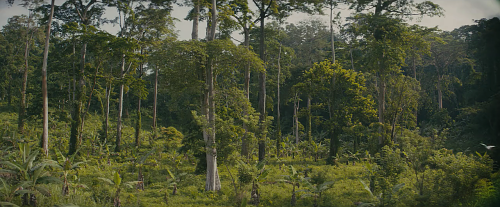 Cinema without people: Beasts of No Nation (2015, Cary Joji Fukunaga, dir.)